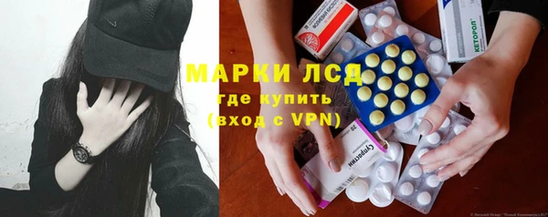 индика Алексин