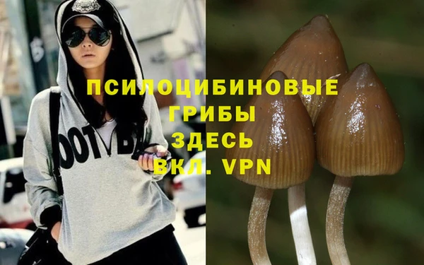 каннабис Алексеевка