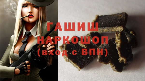 индика Алексин