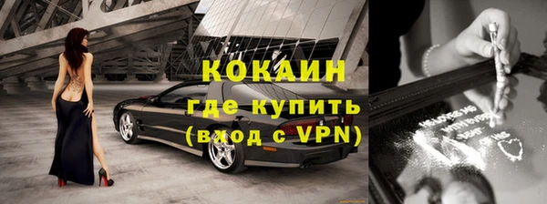 индика Алексин