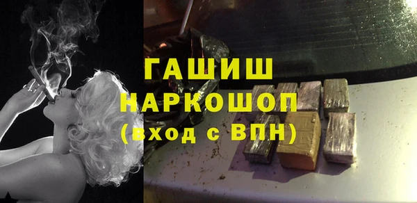 индика Алексин